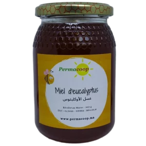 Miel d'eucalyptus du Maroc par Permacoop